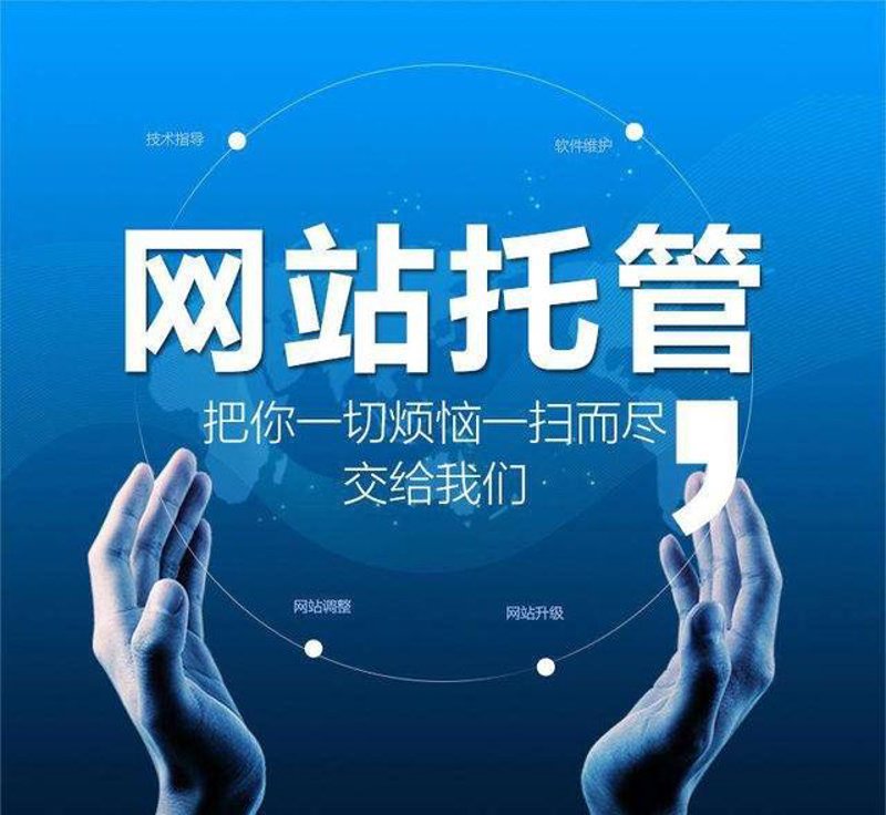 新兴技术站群程序：助力企业网络营销的新引擎