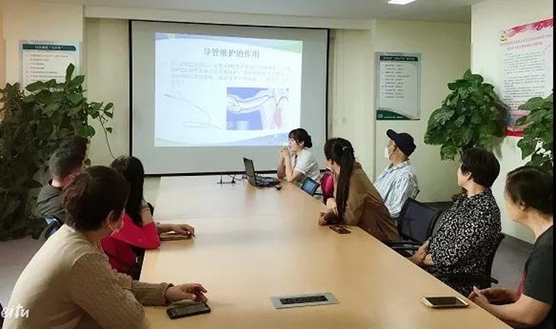 站群程序在电商领域的高效应用与创新探索